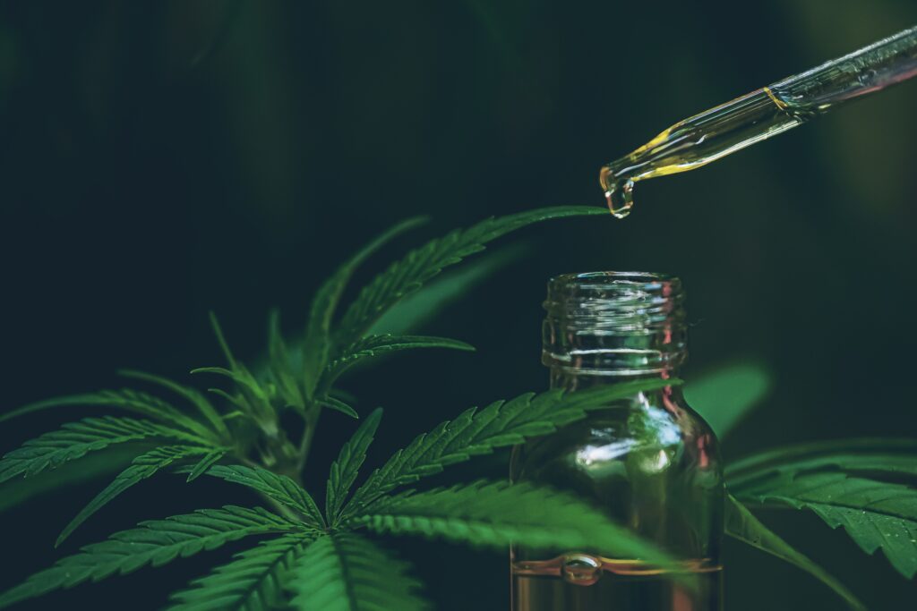 Kunnskap Gir Kraft: Hvorfor CBD Olje Blir En Del Av Informerte Helsevalg